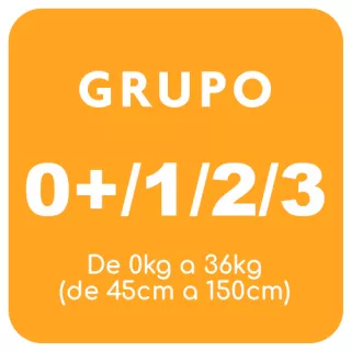 Silla De Coche Grupo 0 1 2 3